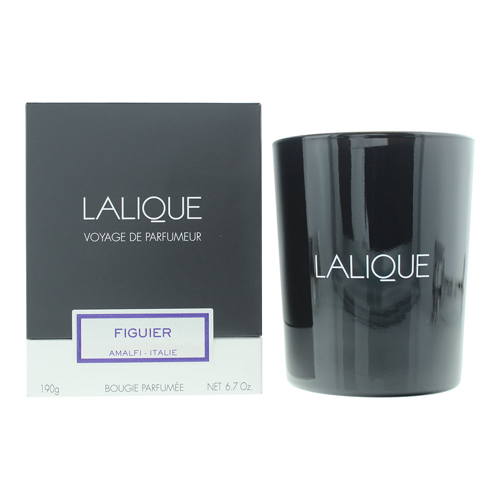 Lalique Candle 190g - Figuier Amalfi - Glow Empire