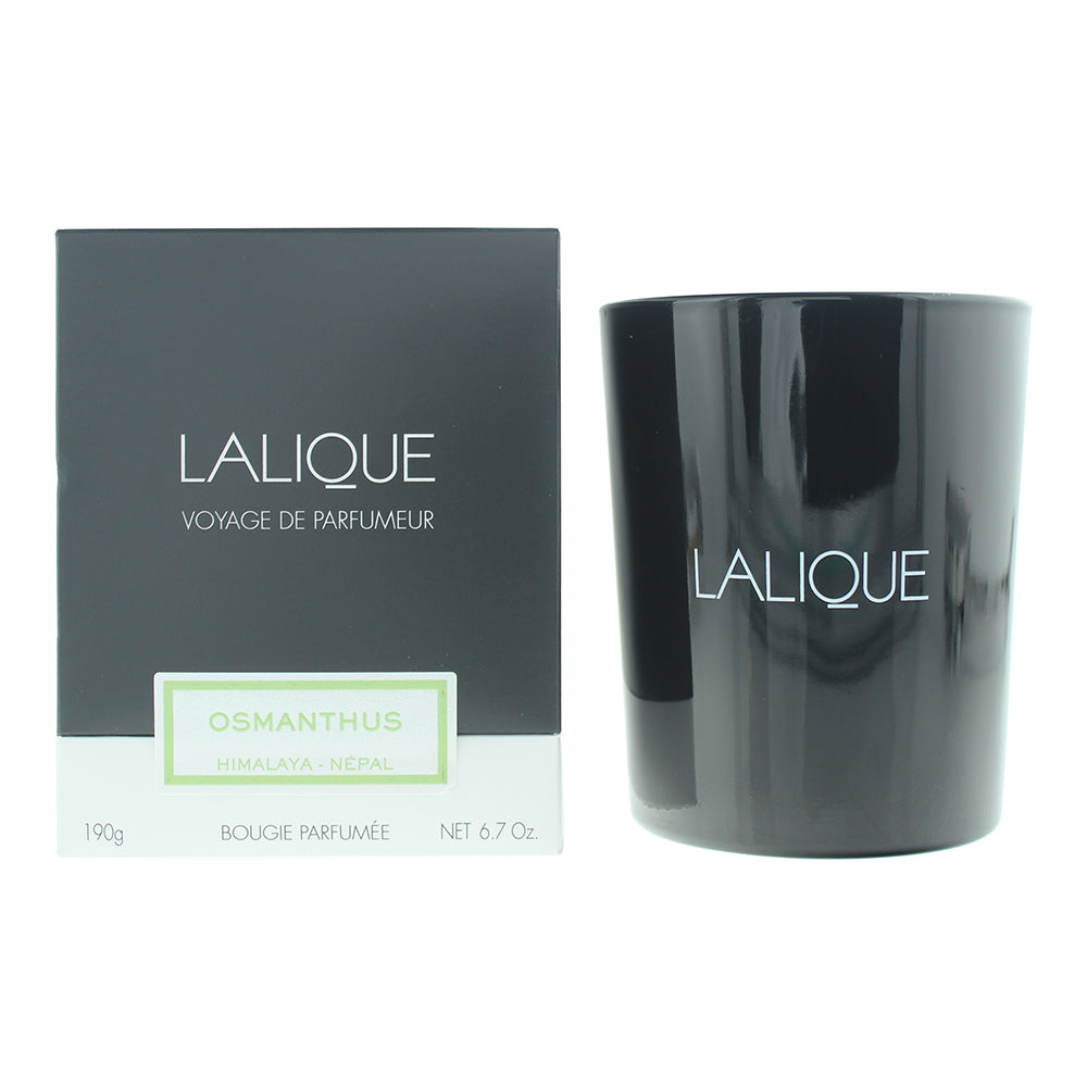 Lalique Candle 190g - Osmanthus Himalaya - Glow Empire