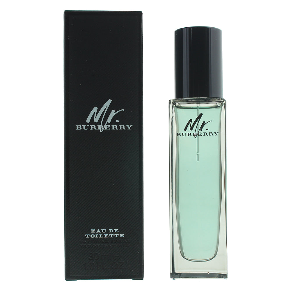 Burberry Mr. Burberry Eau de Toilette 30ml - Glow Empire