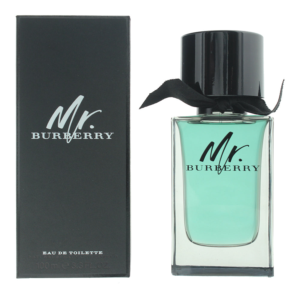 Burberry Mr. Burberry Eau de Toilette 100ml - Glow Empire