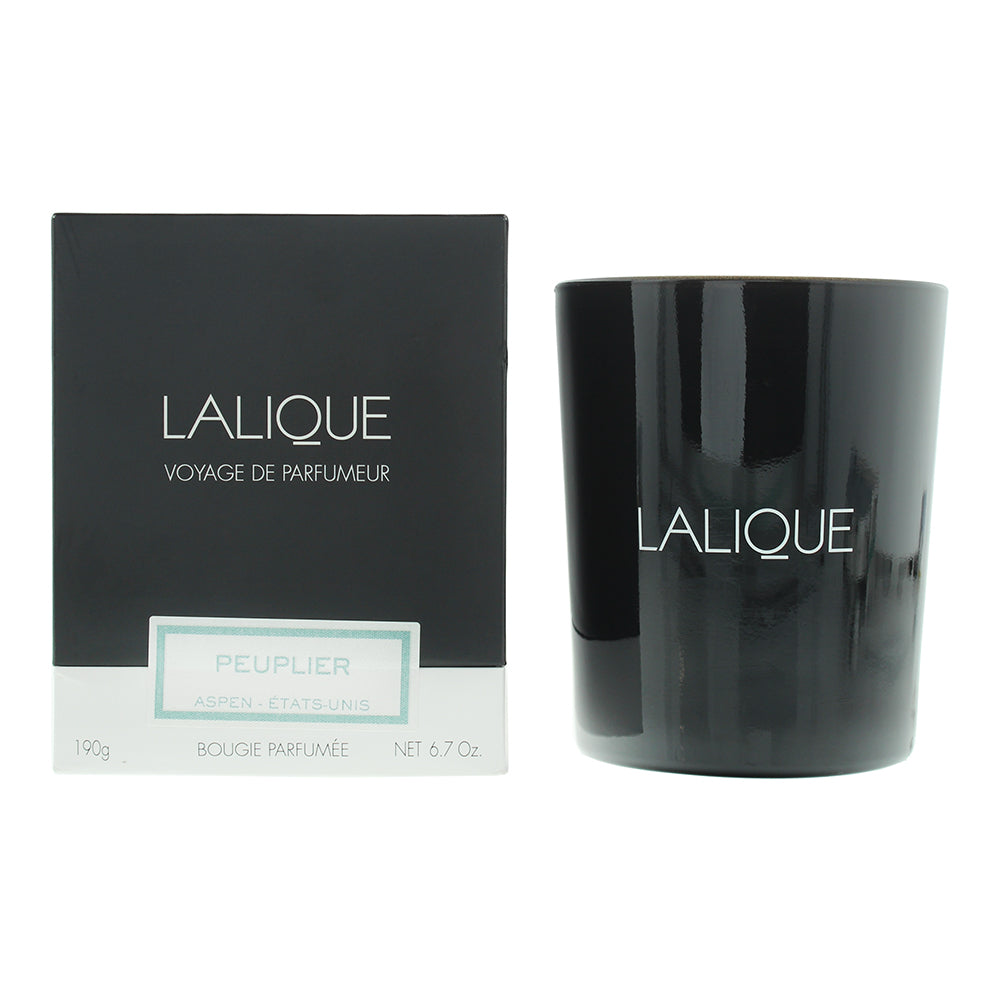 Lalique Candle 190g - Peuplier Aspen - Glow Empire