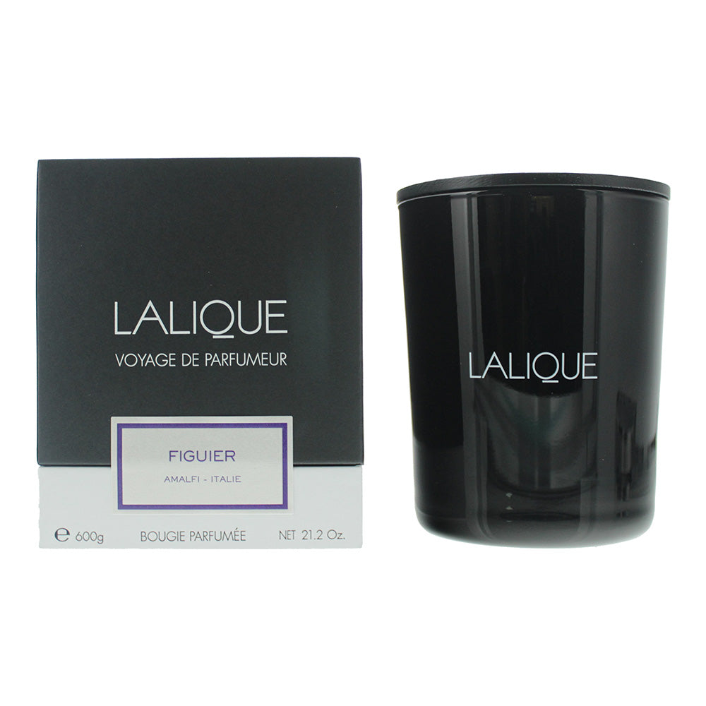Lalique Candle 600g - Figuier Amalfi - Glow Empire