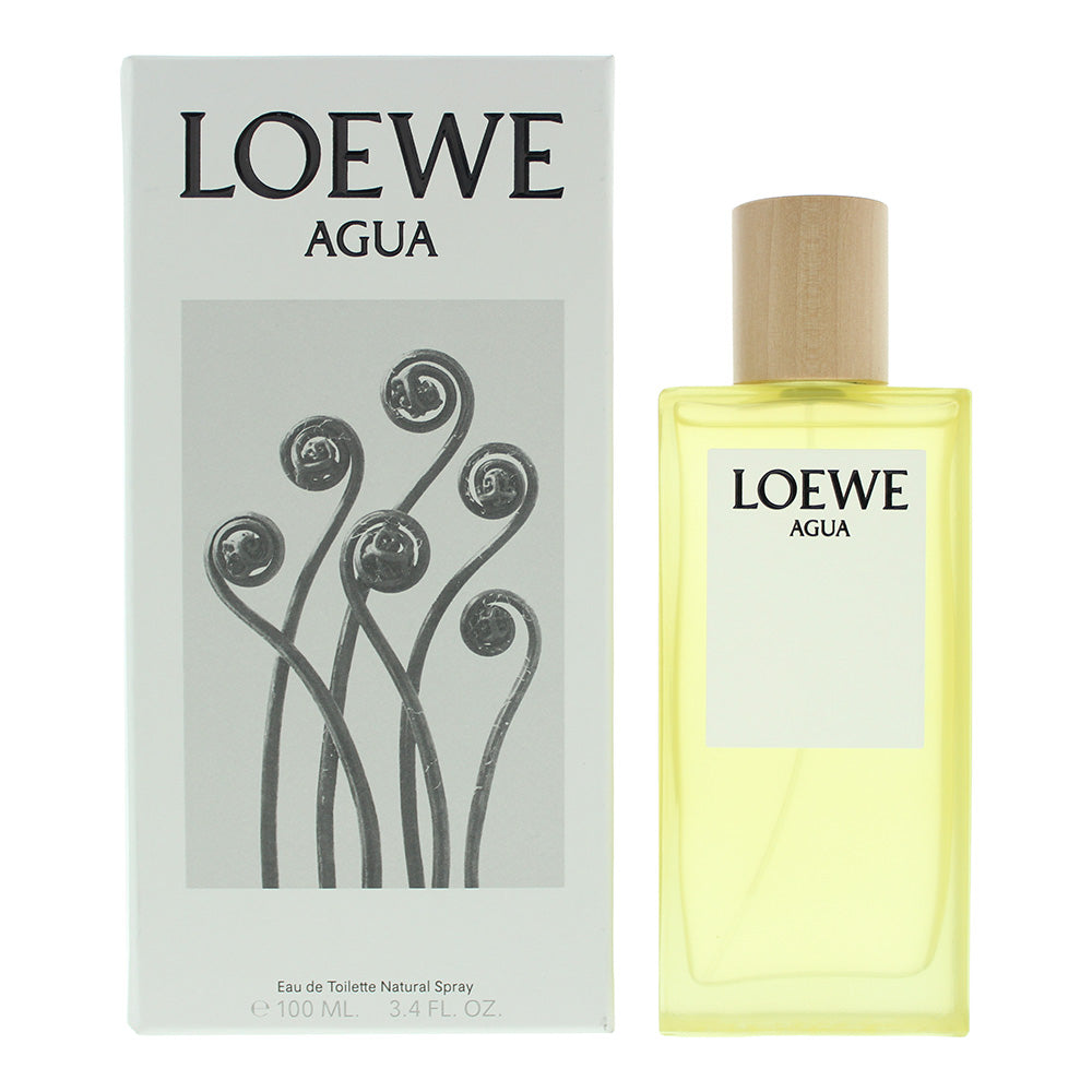 Loewe Agua Eau De Toilette 100ml - Glow Empire